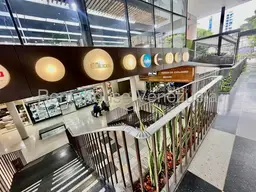 Vista 24