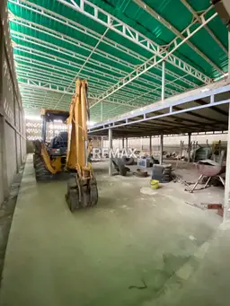 Vista 6