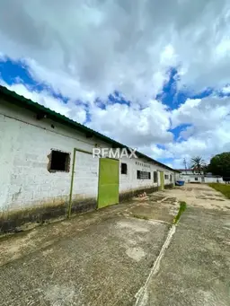 Vista 5