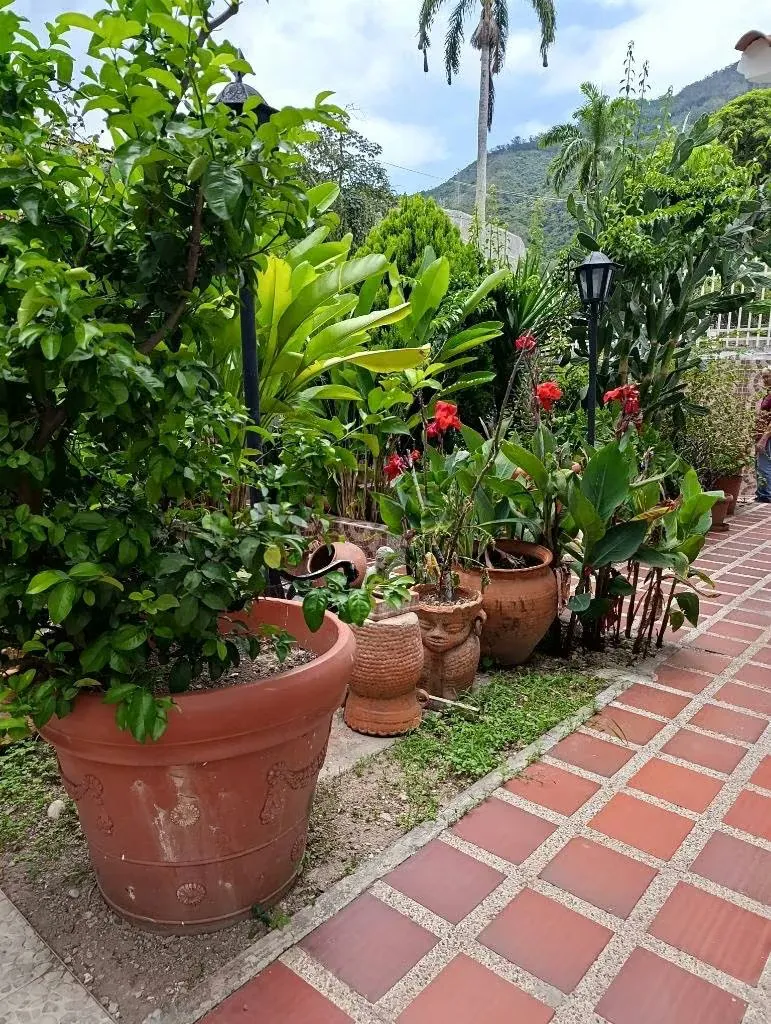 VENTA DE EXCLUSIVA QTA. MULTIFAMILIAR EN ALTA FLORIDA - 56