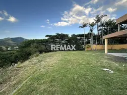 Vista 4