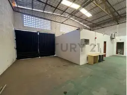 Vista 5