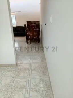 Vista 11