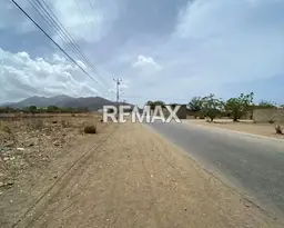 Vista 6