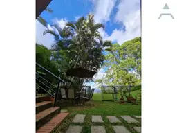 Vista 1