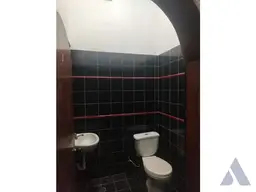 Vista 5