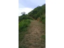 View 1