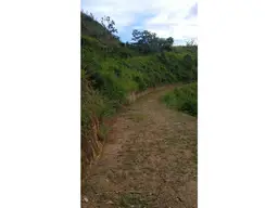 View 4