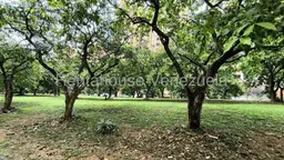 View 24