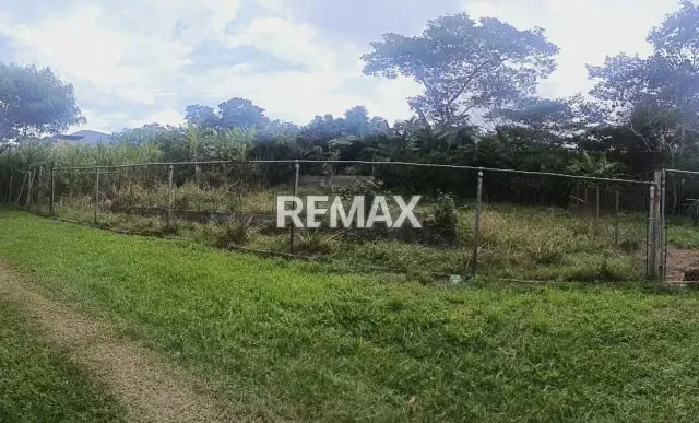 Lote de terreno en venta Ubicado en el sector Juan Diaz-Escuque.