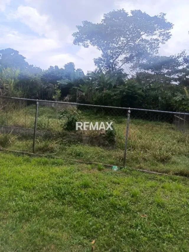 Lote de terreno en venta Ubicado en el sector Juan Diaz-Escuque. - 3
