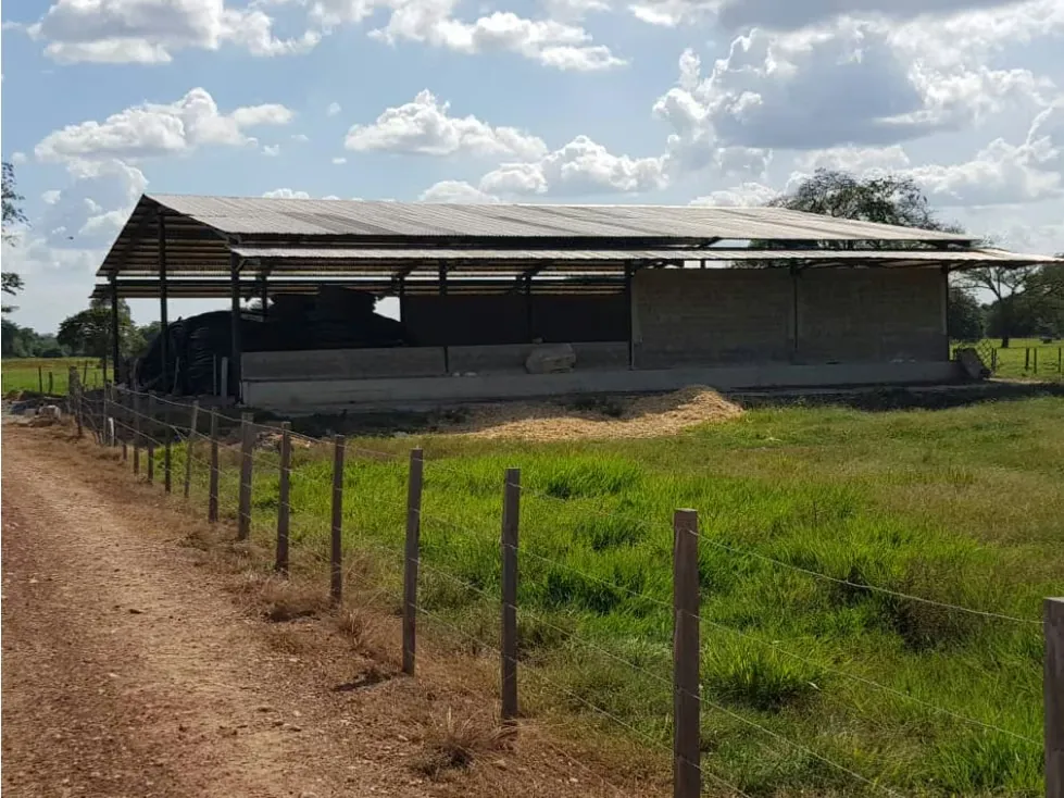 Se vende Finca 3650Has Guarico - 13