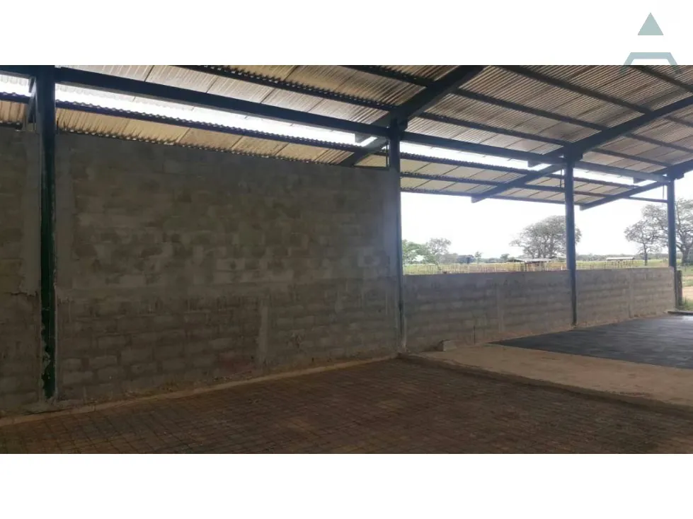 Se vende Finca 3650Has Guarico - 17