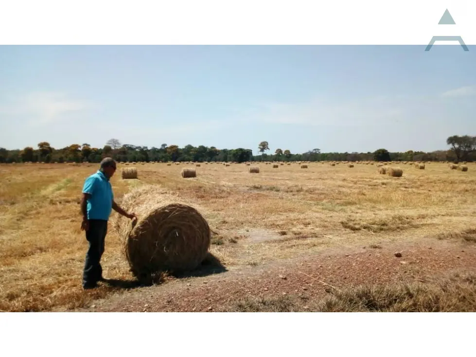 Se vende Finca 3650Has Guarico - 19
