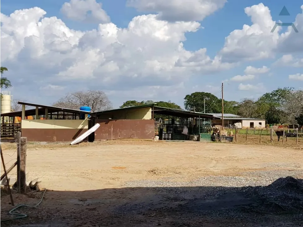 Se vende Finca 3650Has Guarico - 21