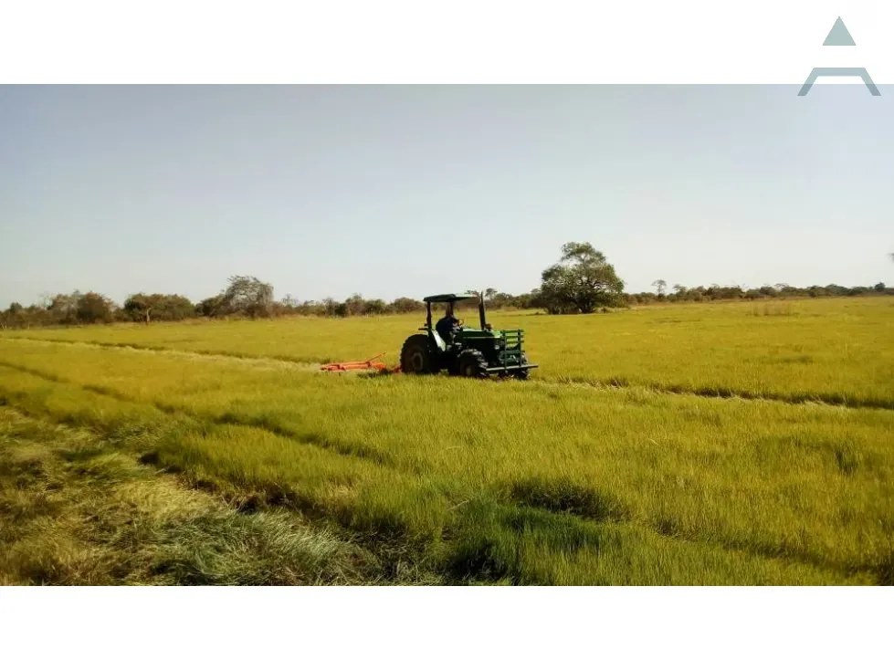 Se vende Finca 3650Has Guarico - 5