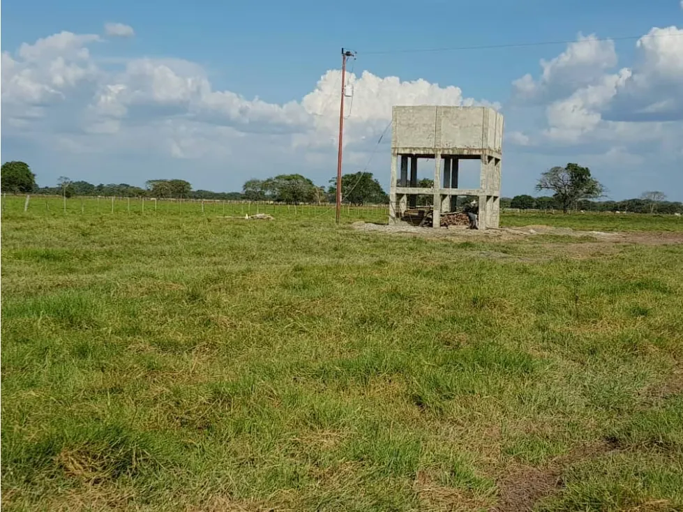 Se vende Finca 3650Has Guarico - 6