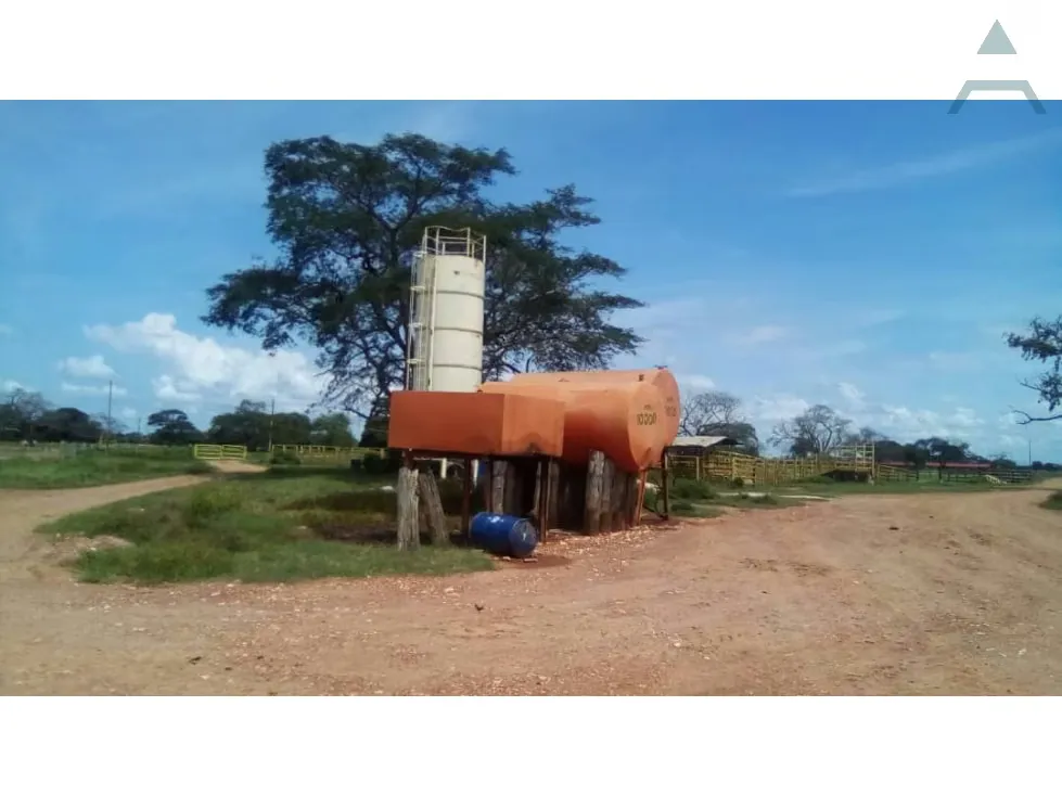 Se vende Finca 3650Has Guarico - 9