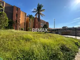 Vista 11