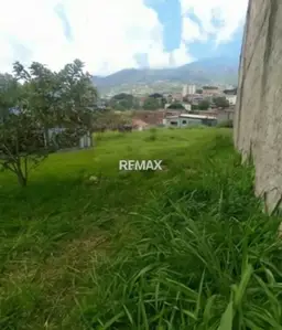 Vista 4