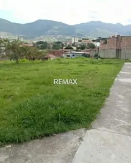 Vista 6