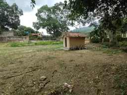 Vista 11