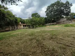 Vista 12