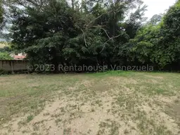Vista 13