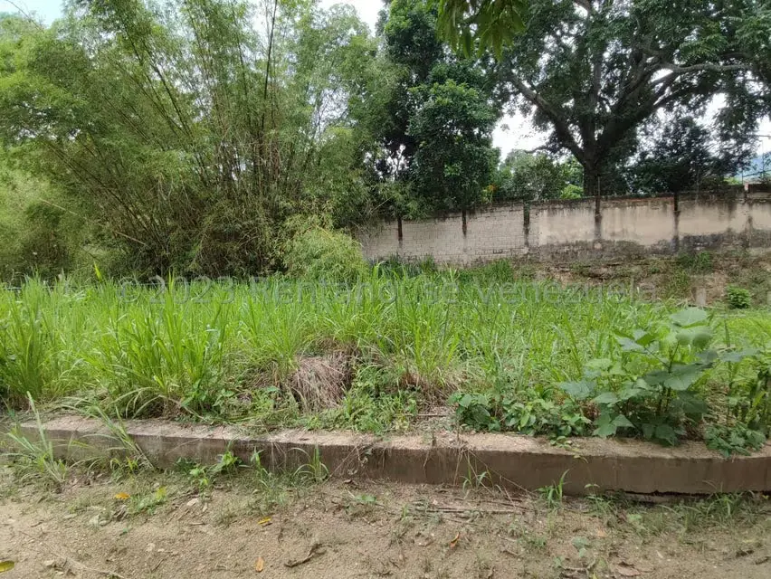 Terreno (Residencial) en Venta en La Entrada, Carabobo - 16