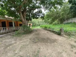 Vista 20