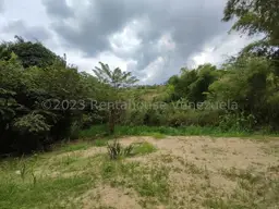 Vista 23