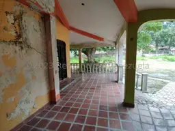 Vista 39