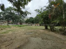 Vista 49