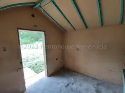 Vista 55