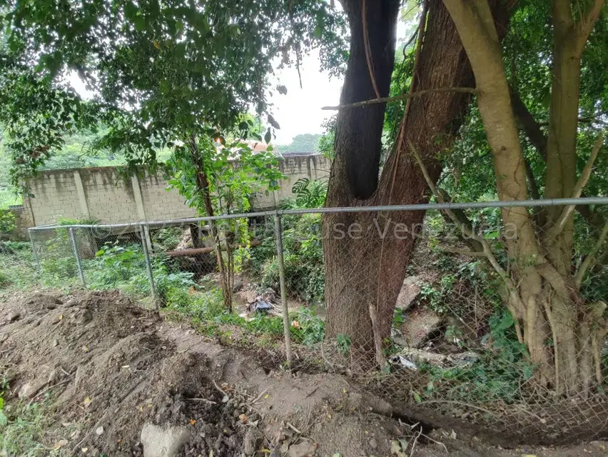 Terreno (Residencial) en Venta en La Entrada, Carabobo - 61