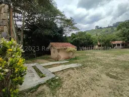 Vista 10