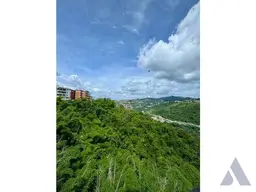 View 5