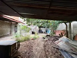 View 19