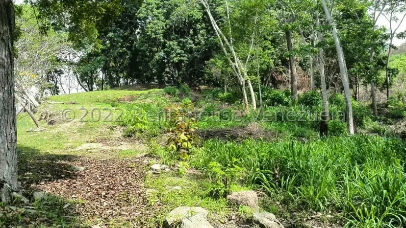 Terreno (Comercial) en Venta en Carialinda, Carabobo
