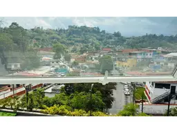View 5