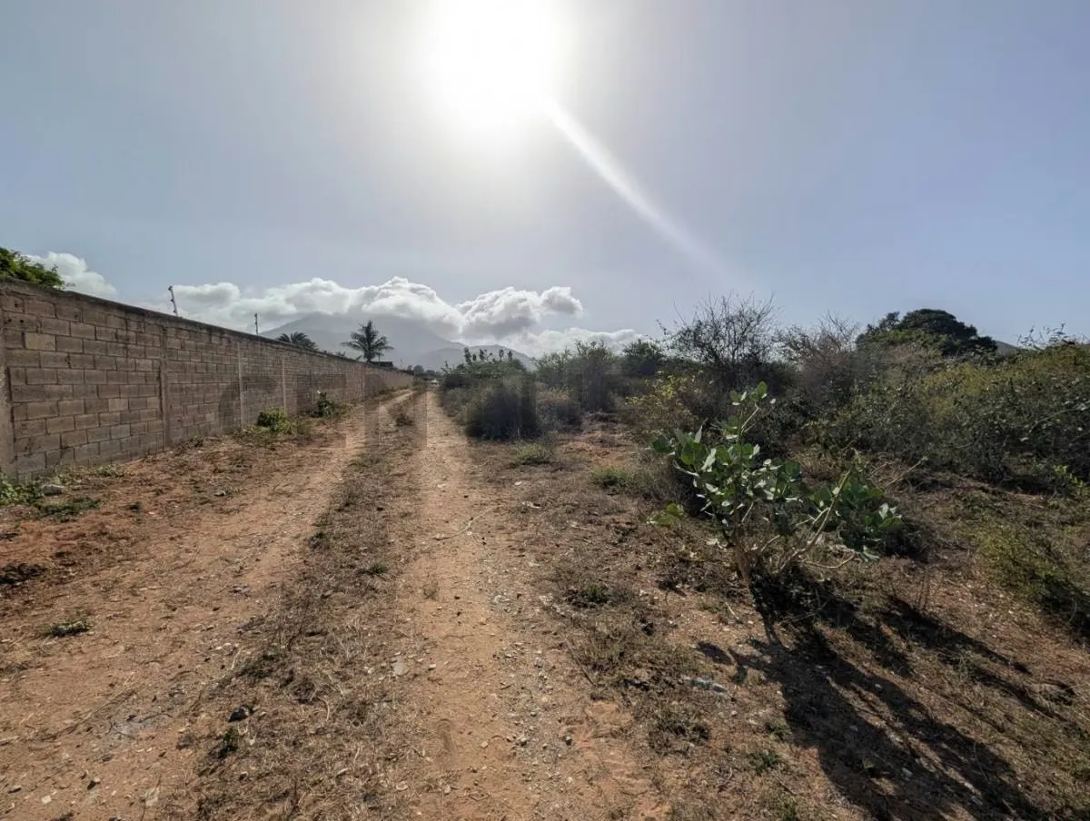 Terreno en el Cardón ideal para desarrollo de proyecto en Antolín del Campo