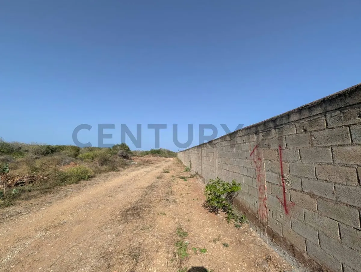 Terreno en el Cardón ideal para desarrollo de proyecto en Antolín del Campo - 2