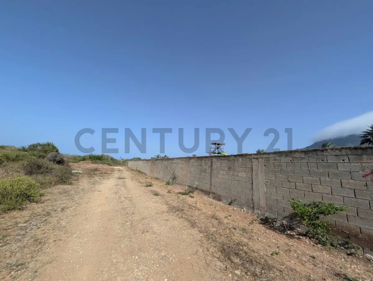 Terreno en el Cardón ideal para desarrollo de proyecto en Antolín del Campo - 3
