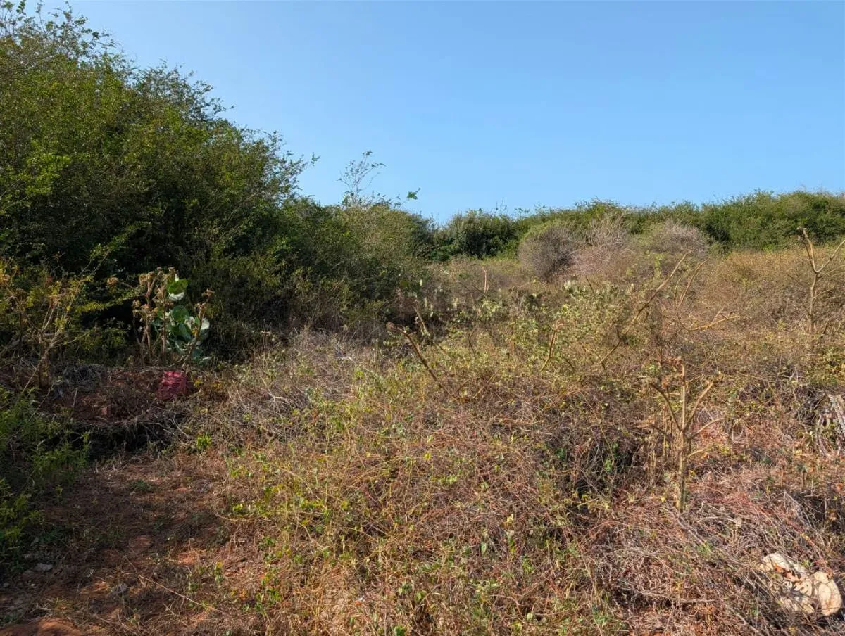 Terreno en el Cardón ideal para desarrollo de proyecto en Antolín del Campo - 5
