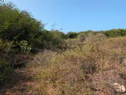 Vista 5