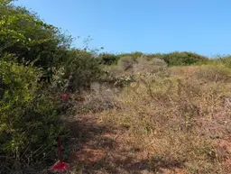 Vista 6