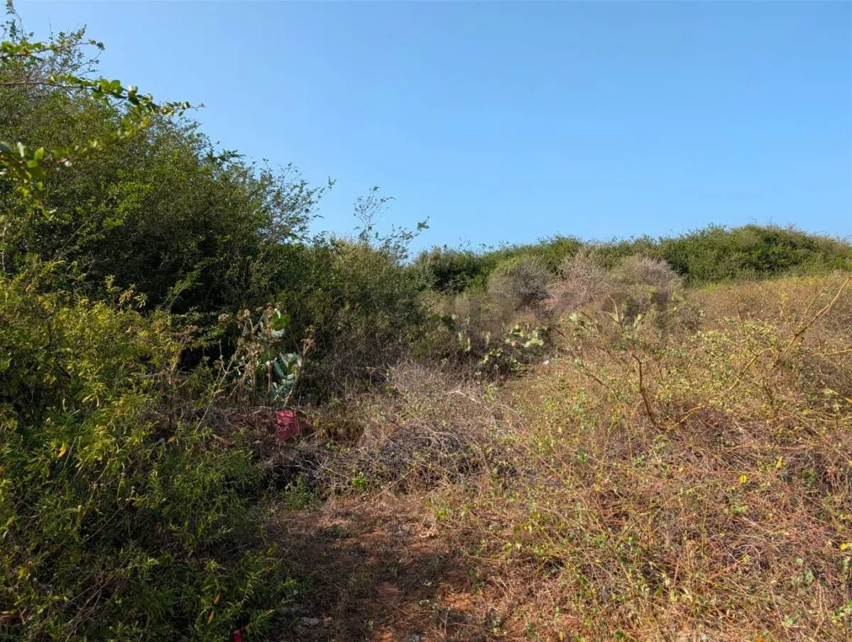 Terreno en el Cardón ideal para desarrollo de proyecto en Antolín del Campo - 7