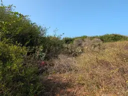 Vista 7