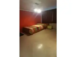 Vista 19