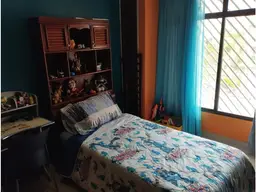Vista 15